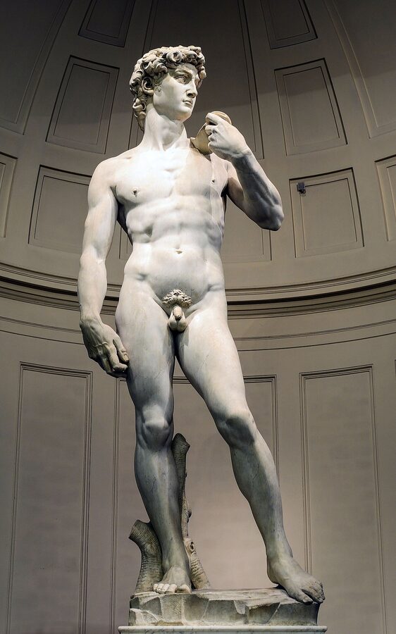 Michelangelo's David sculpture in the Galleria dell'Accademia, a 5.17-metre marble statue