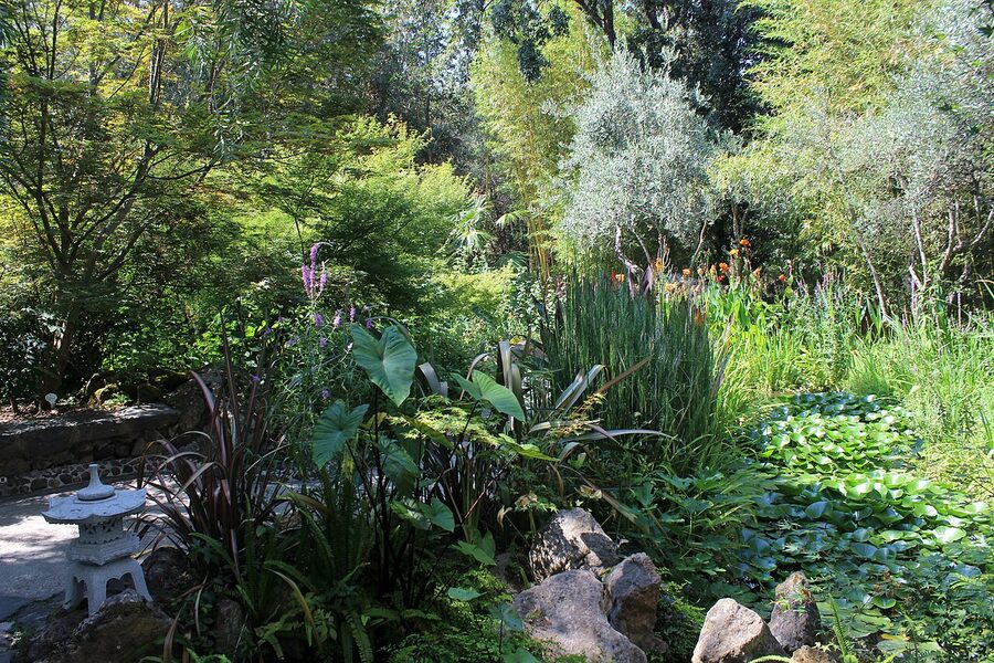 La Mortella gardens in Forio, the William Walton garden at Ischia