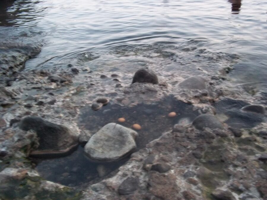 Bagni di Sorgeto, the natural thermal cove on the southwest coast of Ischia