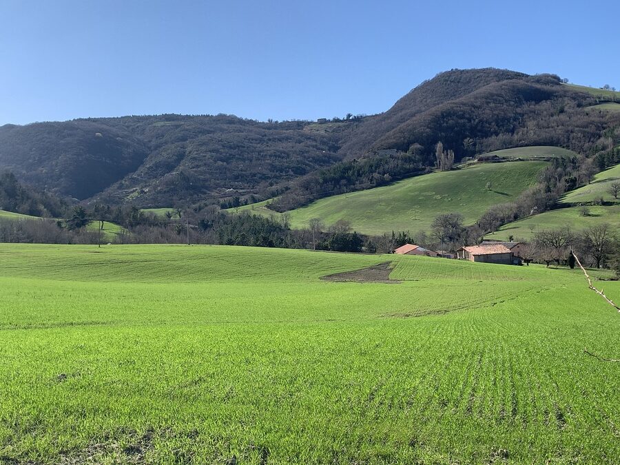 Rolling green hills and farmland of the Marche countryside with Urbino on the horizon