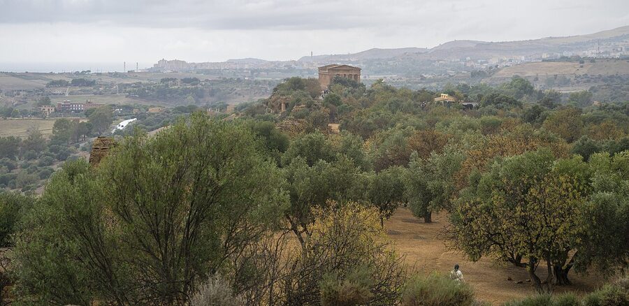 The Temple of Concordia in the Valley of the Temples at Agrigento