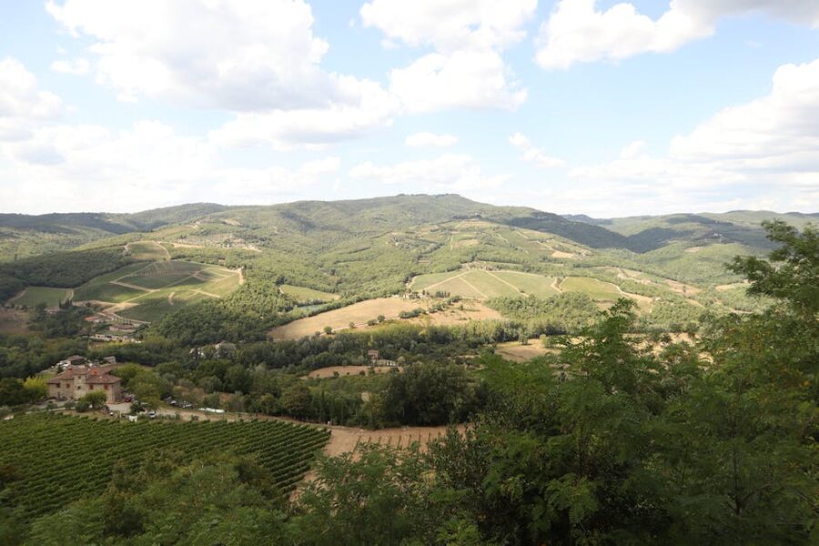 Rolling Chianti hills covered in vineyards under a bright Tuscan sky