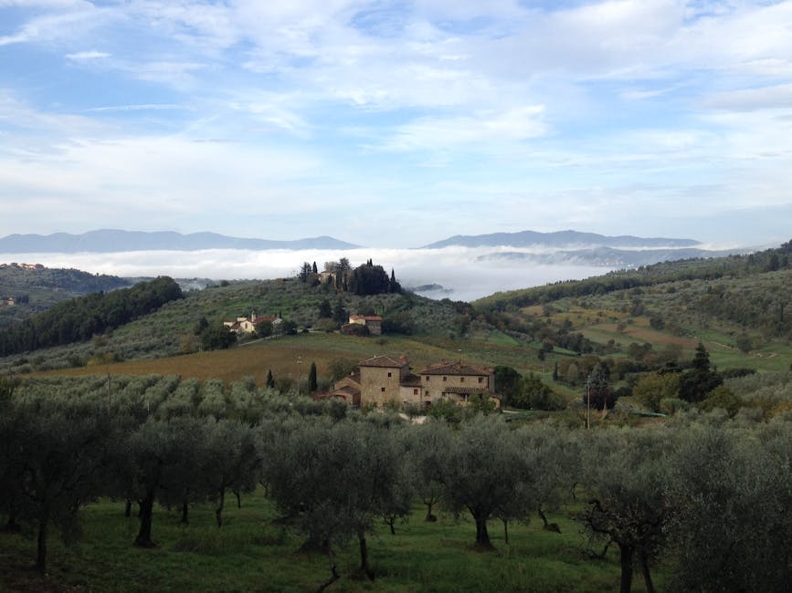 Tuscan landscape with olive groves, villas and rolling hills under a bright sky