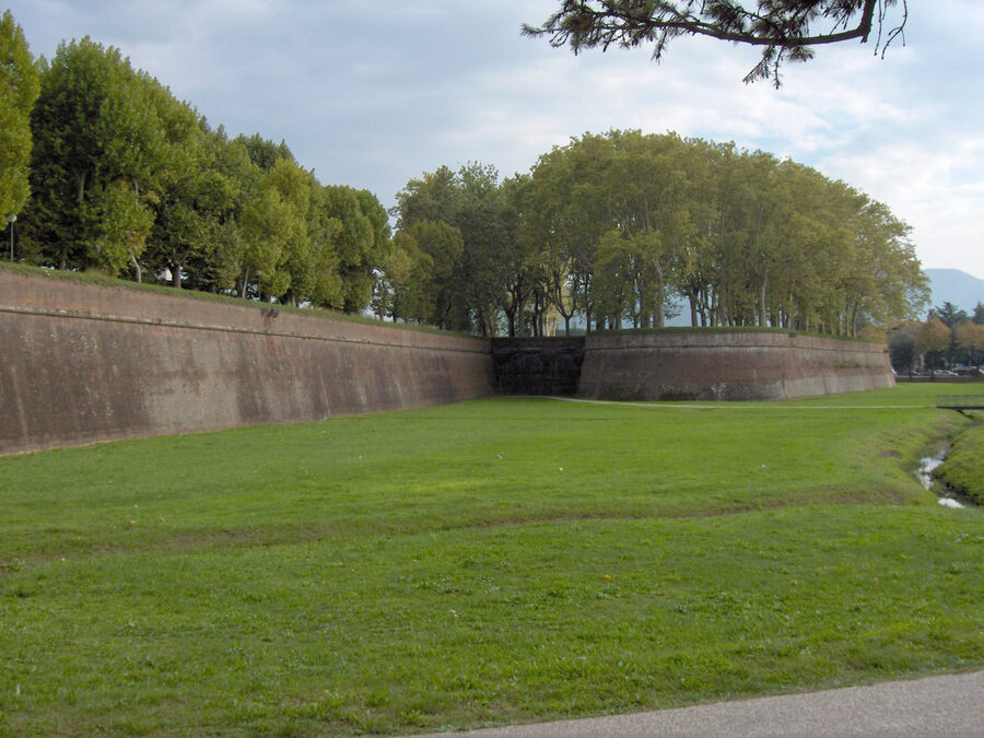 The Renaissance city walls of Lucca, now a public park with trees and cyclists on top